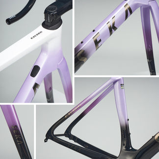 Seka Exceed Standard Version Frameset | Ride In Style, Singapore